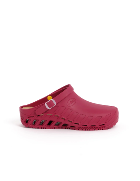 Zoccolo da Lavoro Sanitario Bordeaux CLOG EVO | SCHOLL